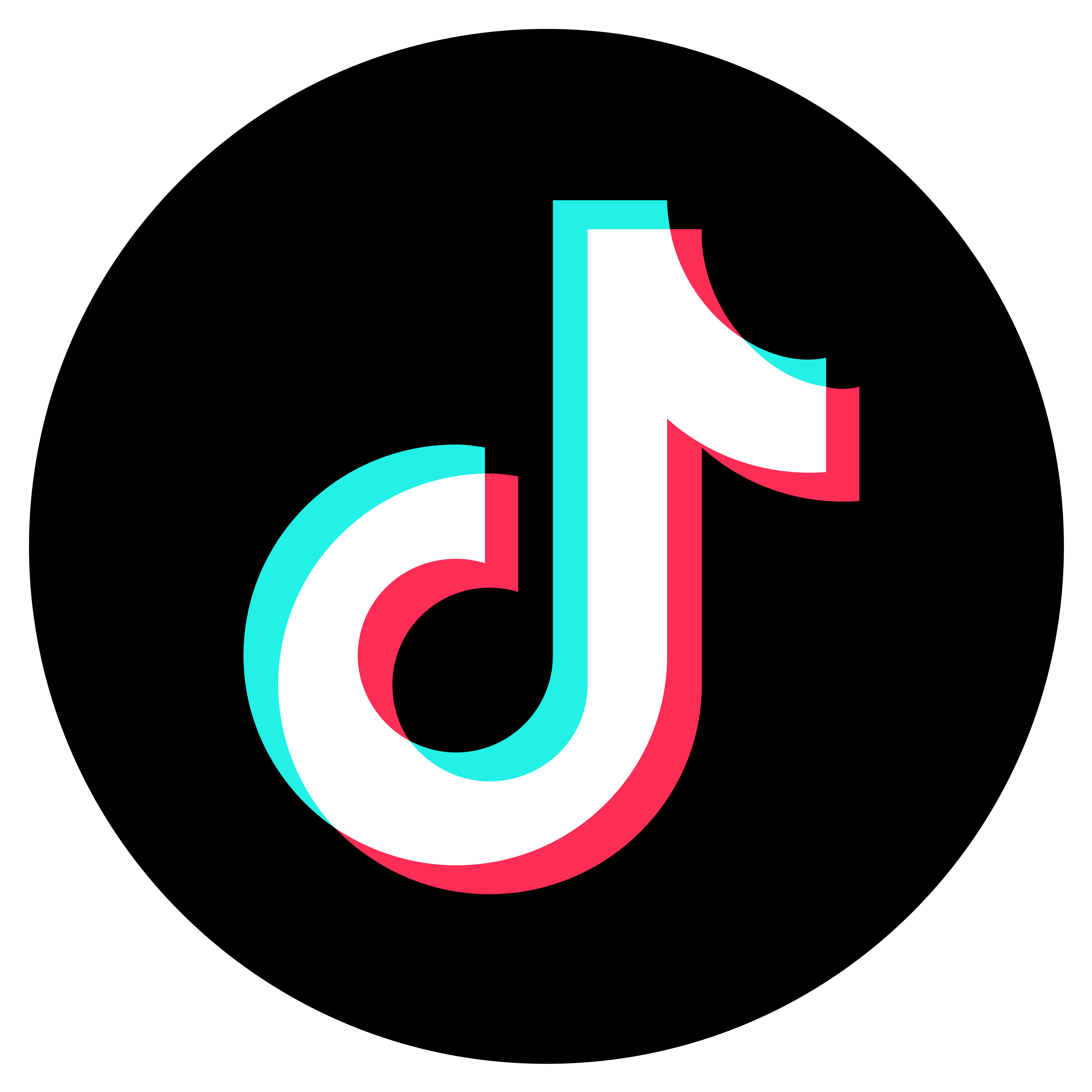 TikTok icon
